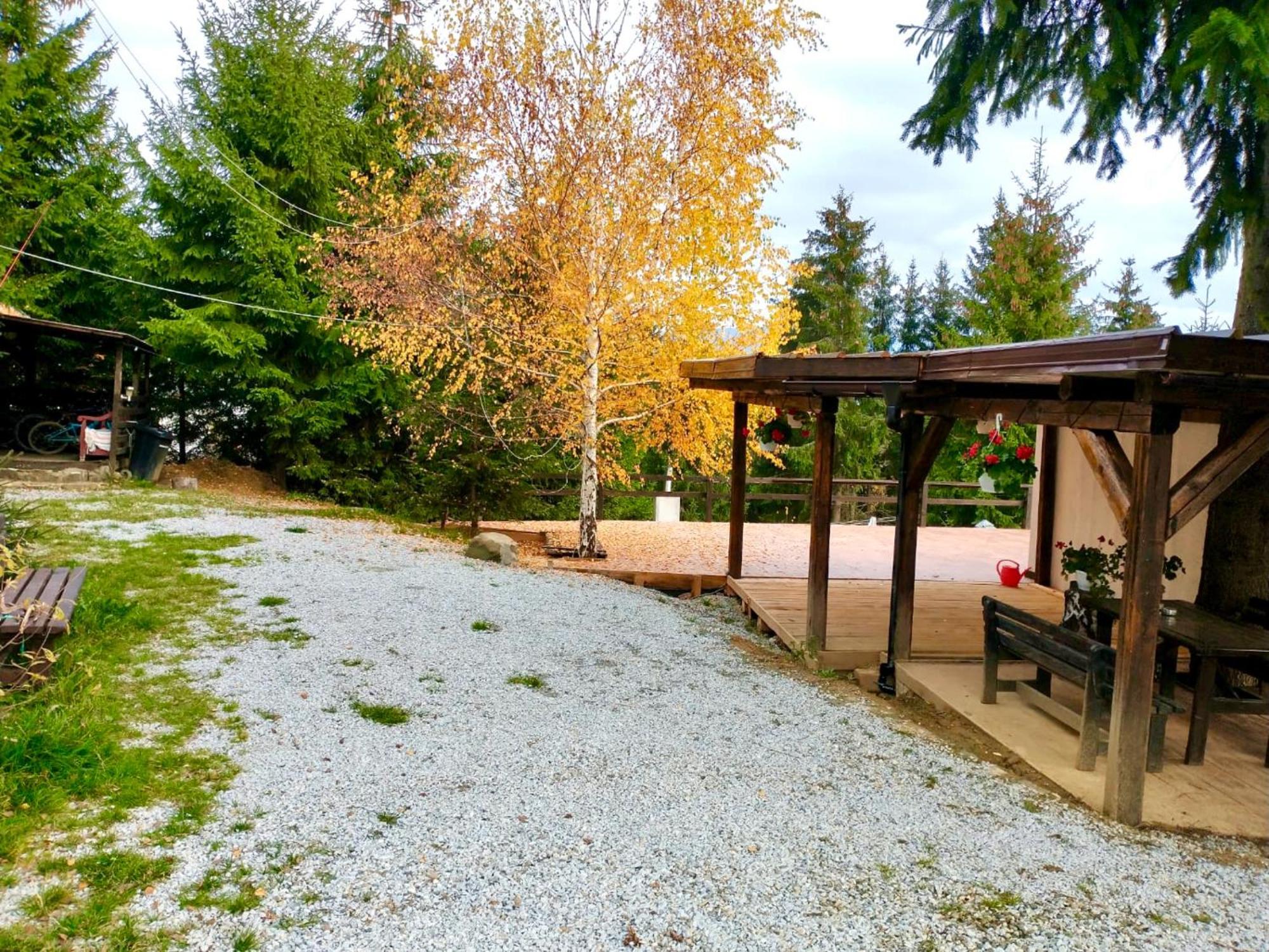 Casa Dintre Brazi Villa Colibita Exterior photo