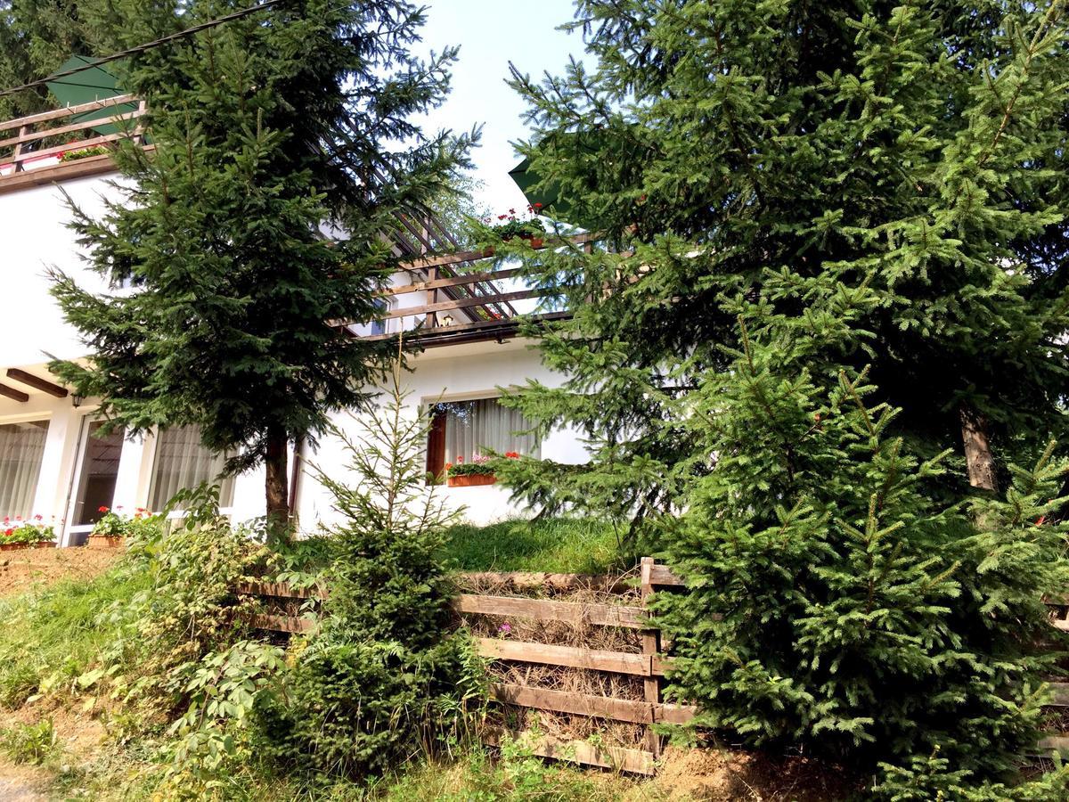 Casa Dintre Brazi Villa Colibita Exterior photo